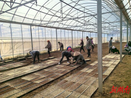 临湘市黄盖镇：“硬核”举措护航春耕生产 筑牢粮食安全防线