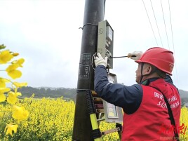 辰溪县供电公司：开展护航春耕春灌线路专项排查行动