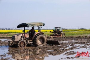 临湘市江南镇：耕耘正当时 沃野绘“丰”景​