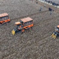 从“弹棉花”到全链崛起：华容纺织服装产业的求变之路