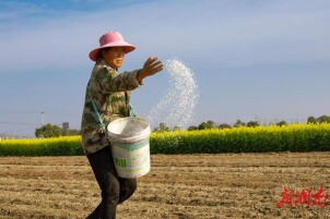 临湘市江南镇：人勤春早播新绿  产业兴旺绘丰年