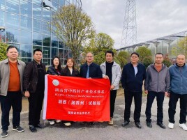 凝智深耕聚合力 岗站联动谱新篇——省中药材产业技术体系专家赴湘西花垣考察指导林下种植工作