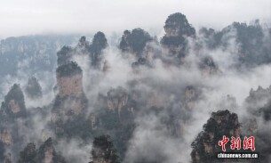 湖南张家界现云海景观 峰林若隐若现如仙境