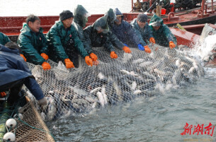 大湖健康产业股份有限公司董事长罗订坤：“创二代”蹚出二次创业路