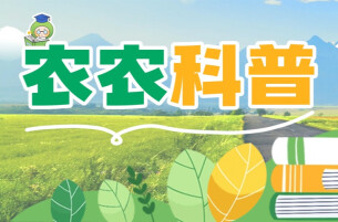 农农科普 | 油菜开花期能不能打药？