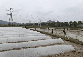 禹山镇：党建引领聚合力 春耕一线显担当