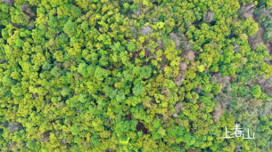 昭山：山市晴岚处，遇见春天