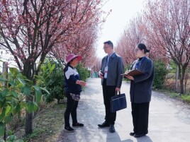 刘卫军：持续净化政治生态