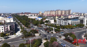 李绽玉兰香 路口春意浓——君山街头繁花点亮洞庭春光 绘就城乡融合新篇