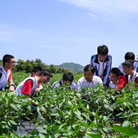 让每个春天都不被辜负丨我省中小学春秋假落地观察走笔