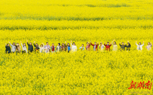 春风十里，不如融媒有你——湖南日报社女职工开展庆“三八”踏青活动