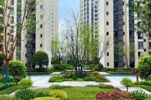 楼市迎来“小阳春” 政策新政持续显效、市场信心明显回暖