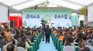 春茶飘香引客来 茶旅融合兴乡村 华容县章华镇以茶为媒铺就共富新路径