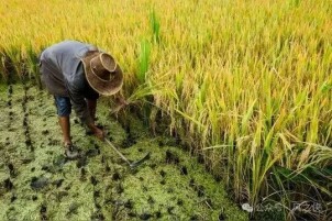 知遇知交——酒鬼50度