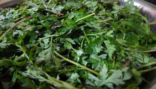 绥宁：清明临近 青团寄相思