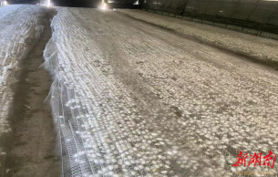 临湘市江南镇：荒山变“桑田” 归雁领“蝶变”