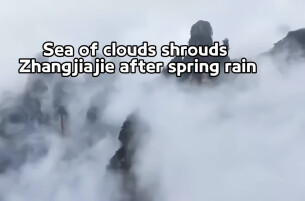 Sea of Clouds Shrouds Zhangjiajie After Spring Rain