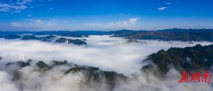 图集|云海入画来