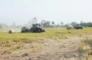 三十而立·岁与君和㉛ | 从“一把火”到“一捆金”——君山秸秆的“绿色转身”