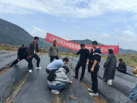 张家界莓茶地方标准启动修订 首场现场试验同步开展