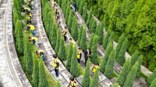 图集|清明节前祭英烈