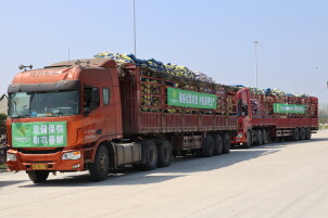 1200吨农资运抵华容 供销社“淡储旺供”保春耕