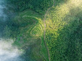 “湘”村振兴景正好 | 会同胜溪：“大地之眼”云海茶园，明前茶采摘正当时!