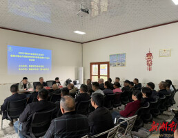 田间学校传新知 技术赋能助春耕——临湘市开展粮油作物种植技术培训​