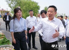 陈博彰调研湘江洲岛规划和文旅融合情况并召开现场专题会议