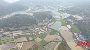 鹤城区：雨后山村云雾缭绕 春日田园风光如画