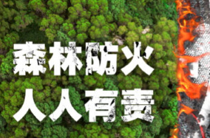 衡东：助推“四进” 让鸟类保护与森林防火宣传达成共识