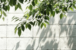 看破不说破，是成年人最大的体面