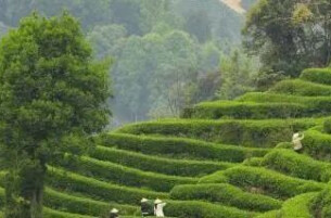 “反向游”火出圈！小城“抢人”，这波就业红利怎么接？