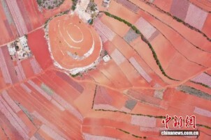 贵州威宁：春耕农田犹如大地“指纹”