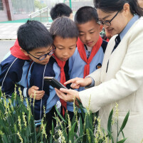 麦田有真意，欲辨已忘言——读徐亚平《鸟儿活着，麦子也活着》有感