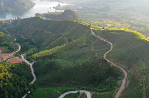 永州11个县市区中，有7个是全省茶叶主产地——湘江源头产好茶 八方远客寻香至@湖南日报要闻头条