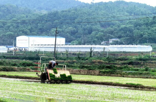 智慧进田间 机械替人力