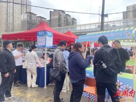 芙蓉区东湖社区举办专场招聘会