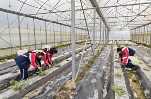践学于行 赋能成长——龙山县第一职业中学种植专业开展实训教学活动