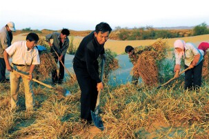 榜样 | 大漠铸丰碑 瀚海播绿人——致敬来自防沙治沙一线的他们