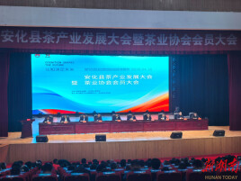 一片叶子富了近40万人！“安化黑茶”再启跨越新征程：力争2030年综合产值突破300亿元
