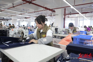 蓝山以高质量就业擦亮民生底色@湖南日报市州头条