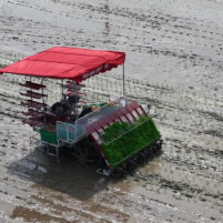院士助力，科技兴农，湖南望城“未来稻村•智慧农场”项目投运