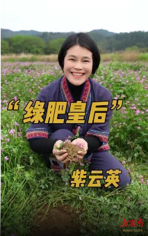 “永州问道”之“瑶珍姐姐”带你种田系列视频①｜土地的“氮肥工厂”——紫云英！
