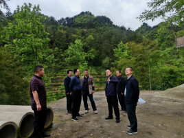 湘西州行政审批服务局、州数据局为梓木村发展谋良策