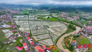 娄星区：抢抓农时忙春耕 多措并举保丰收