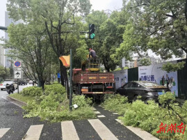 娄底市风景园林中心开展交通安全隐患绿化专项排查整治行动