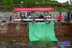 资兴：90万尾鱼苗增殖放流 东江湖再添“新成员”