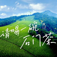 请喝一碗石门茶
