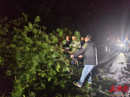 辰溪县柿溪乡：戎装卸甲守初心 雨夜抢险显担当
